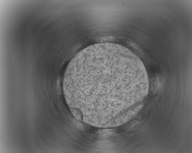 X0000066530378200604141846