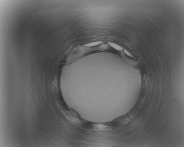 X0000066530380200604141846