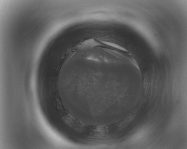 X0000066530383200604141846