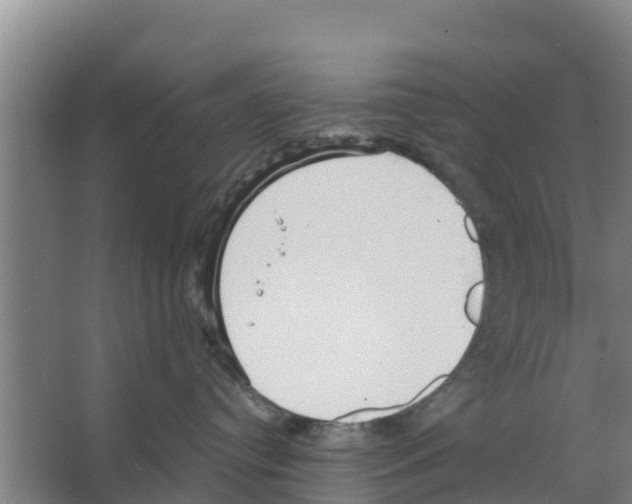 X0000066530384200604141846