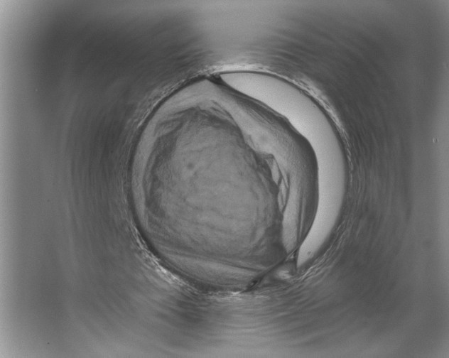 X0000066530385200604141845