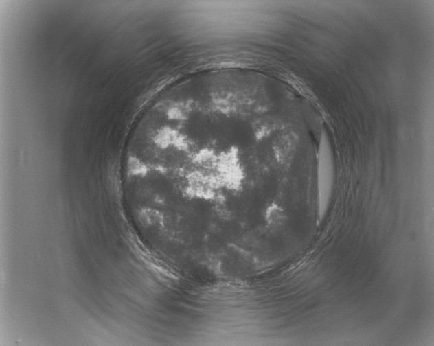 X0000066530386200604141845