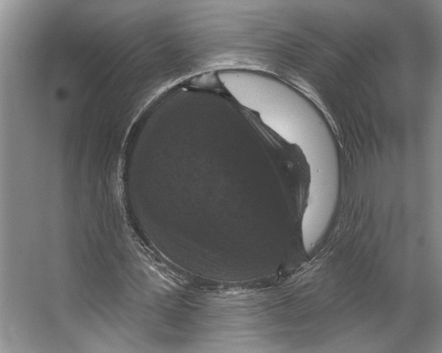 X0000066530387200604141845