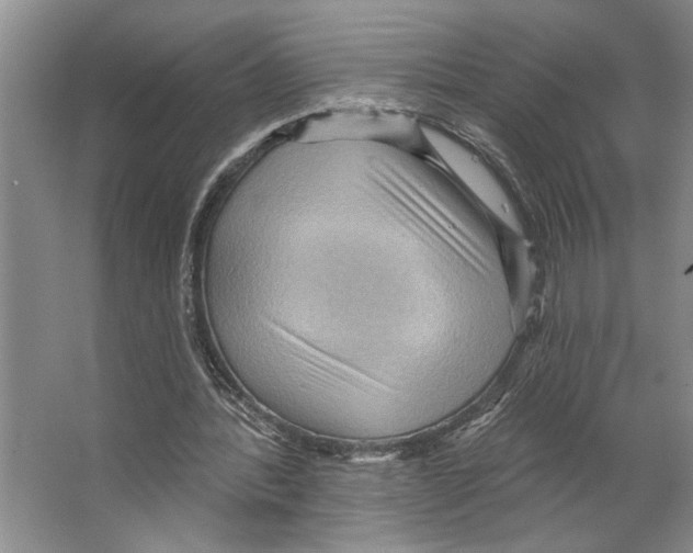 X0000066530388200604141845