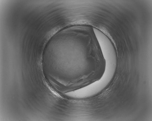 X0000066530389200604141845