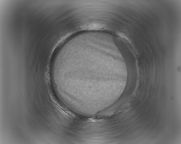 X0000066530392200604141845