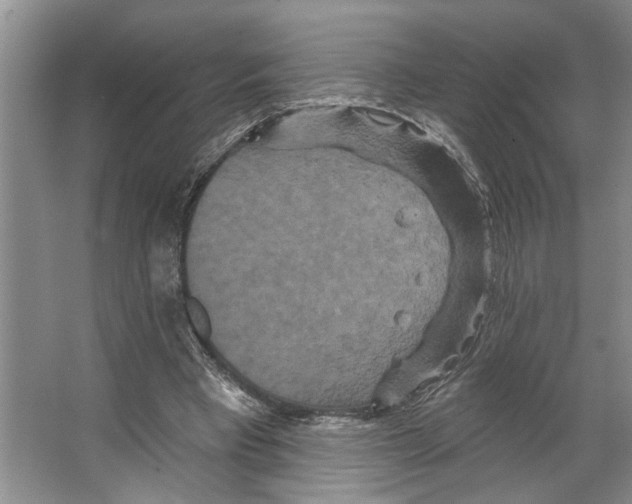 X0000066530393200604141845