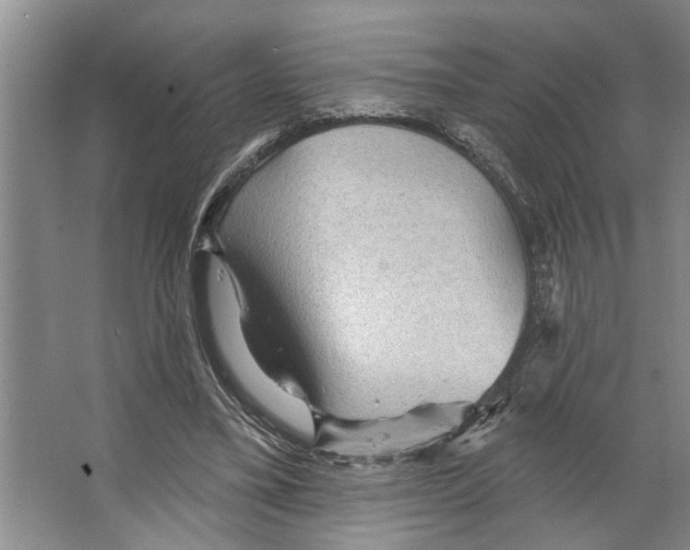 X0000066530395200604141845