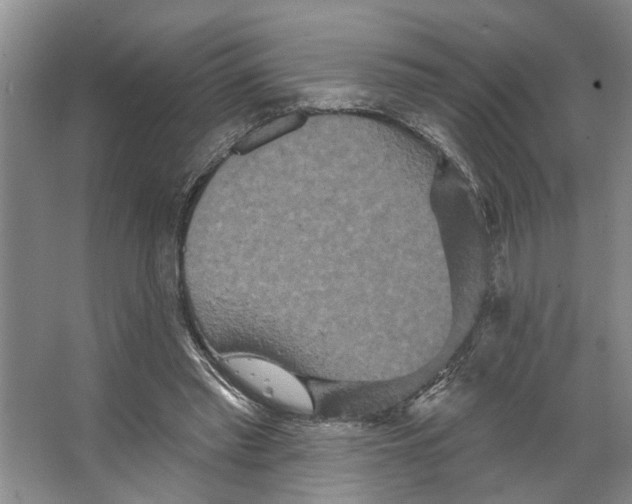 X0000066530397200604141845