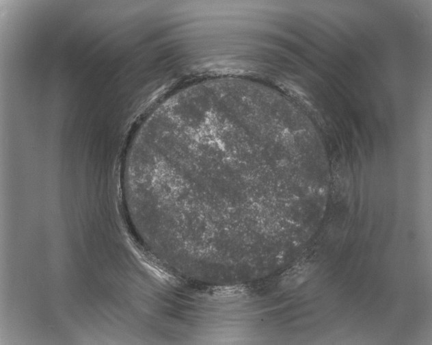 X0000066530398200604141845