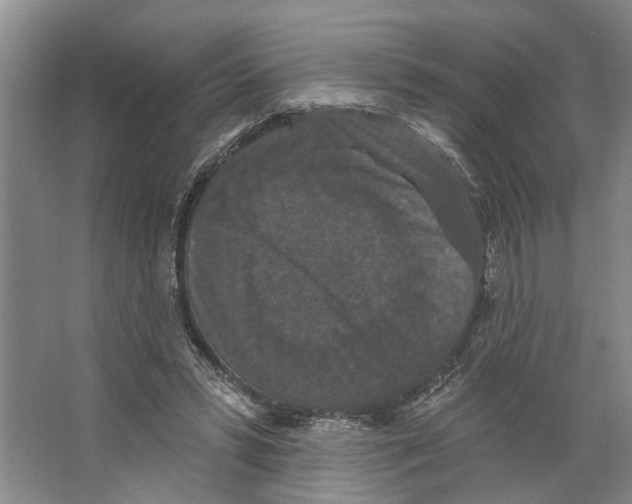 X0000066530399200604141845