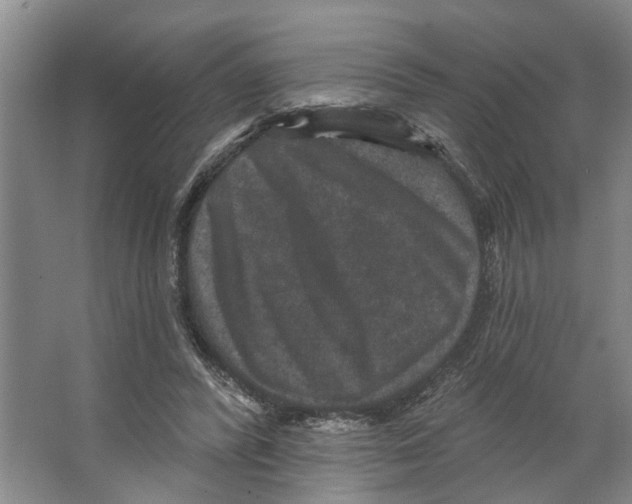 X0000066530400200604141845