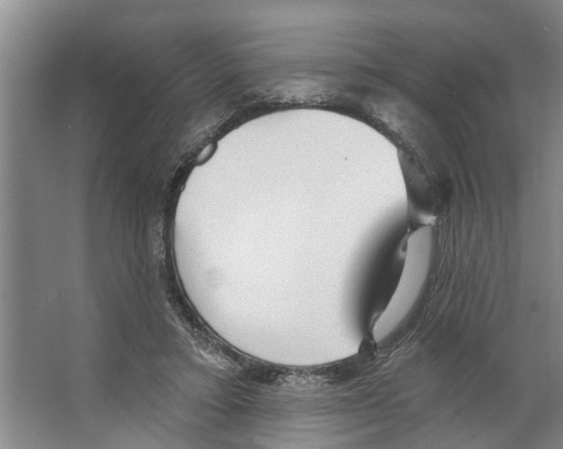 X0000066530403200604141845