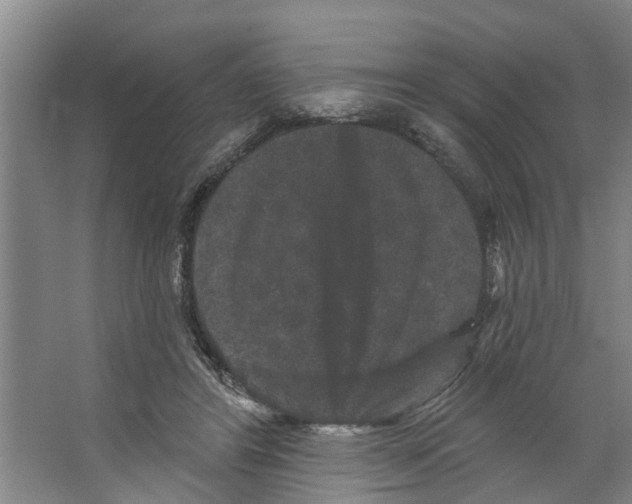 X0000066530404200604141845