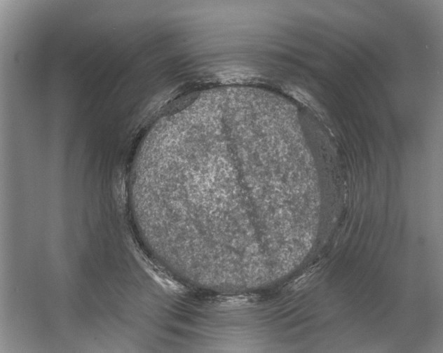 X0000066530405200604141845