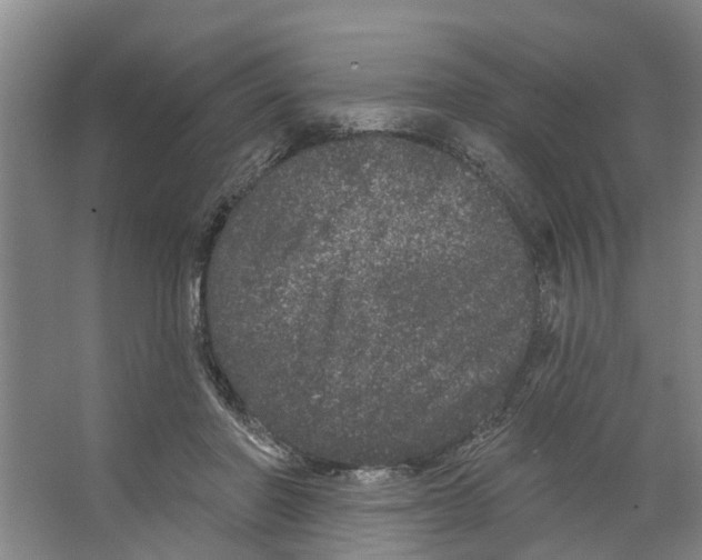 X0000066530406200604141845