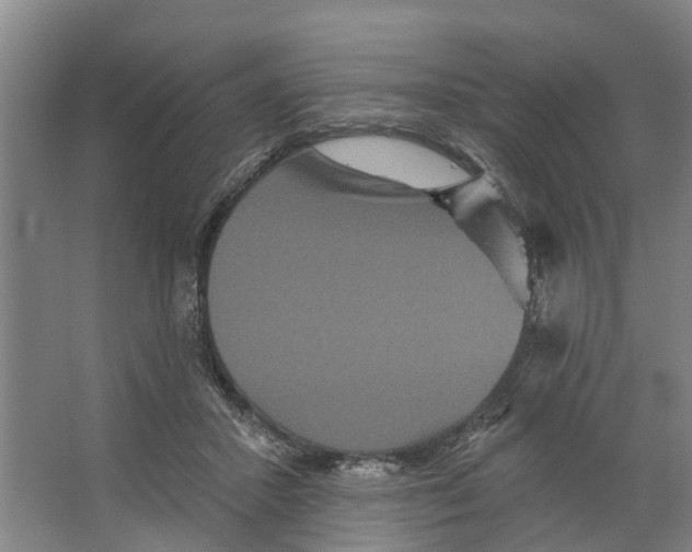 X0000066530407200604141845