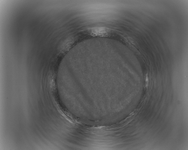 X0000066530408200604141845