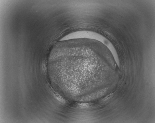 X0000066530409200604141845