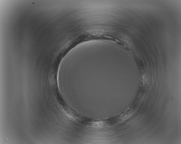 X0000066530411200604141845