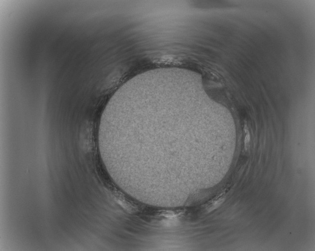 X0000066530416200604141845