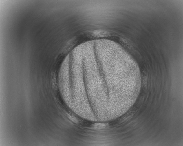 X0000066530418200604141845