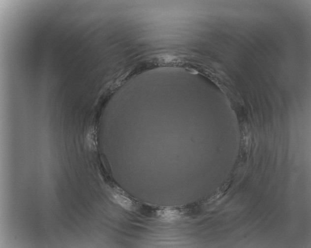 X0000066530419200604141845