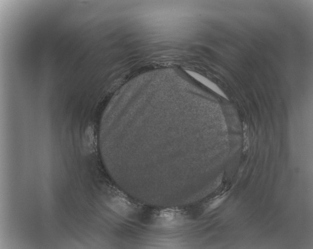 X0000066530420200604141845