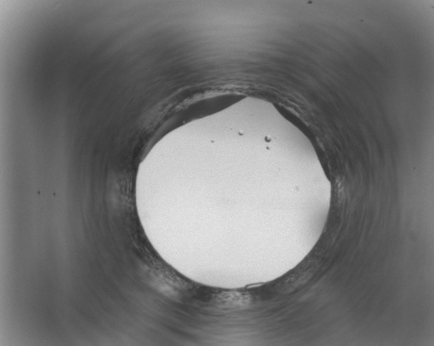 X0000066530421200604141844