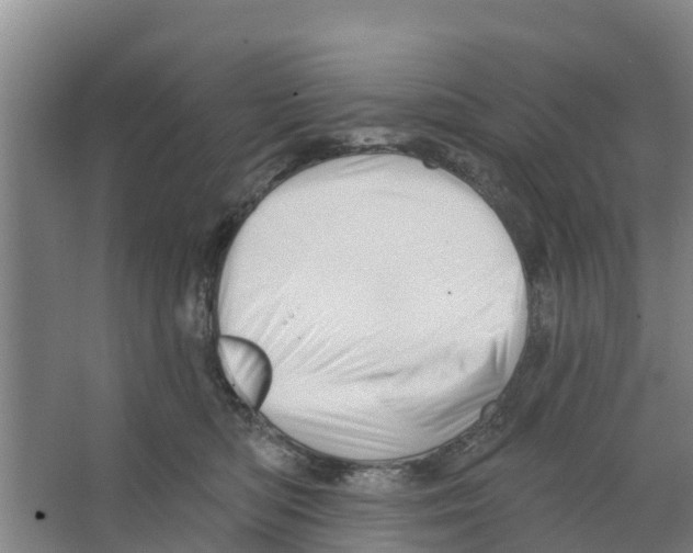 X0000066530422200604141844