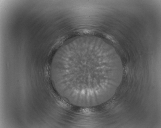 X0000066530423200604141844