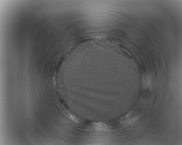 X0000066530424200604141844