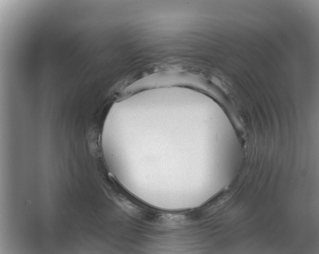 X0000066530429200604141844