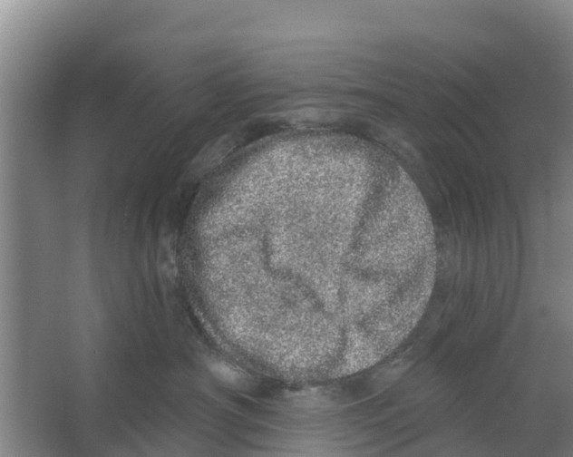 X0000066530430200604141844