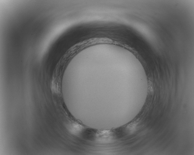 X0000066530431200604141844