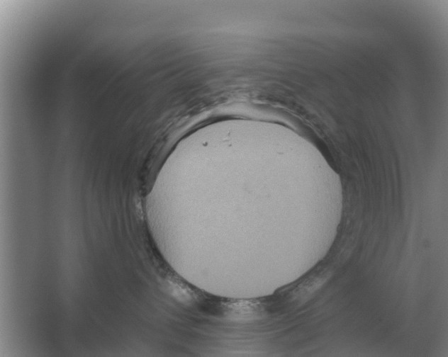 X0000066530432200604141844