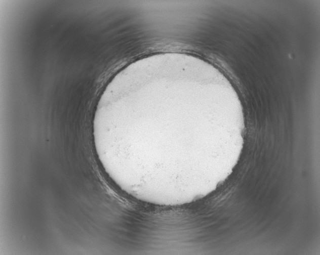 X0000066530433200604141844