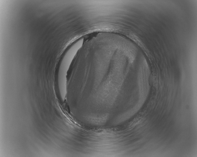 X0000066530434200604141844