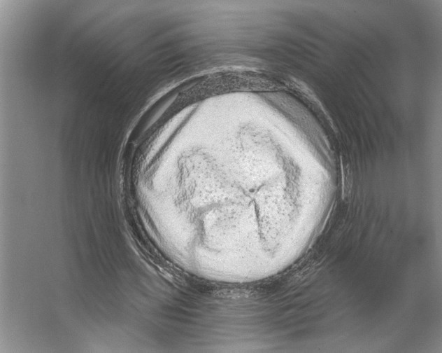 X0000066530435200604141844