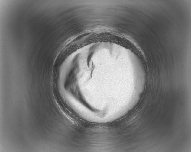 X0000066530437200604141844