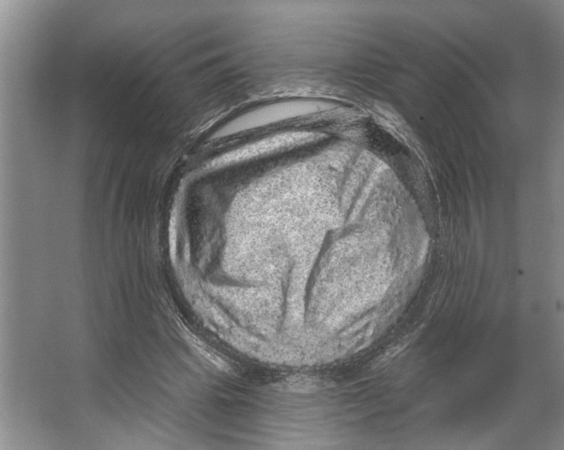 X0000066530441200604141844