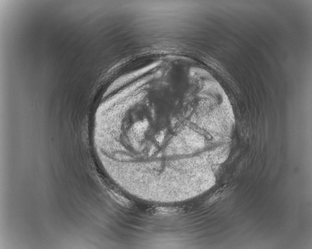 X0000066530442200604141844