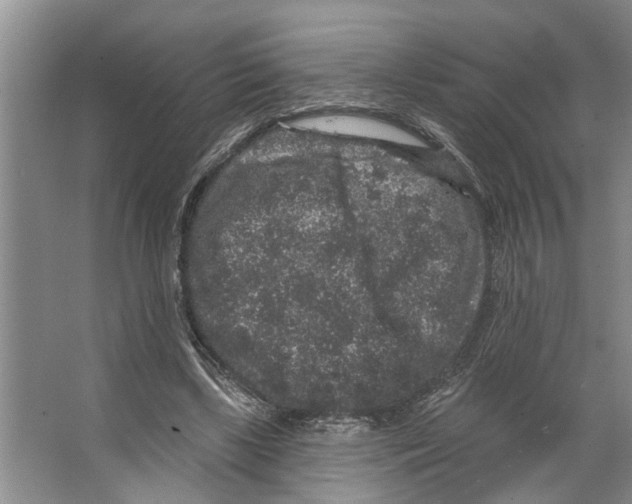 X0000066530443200604141844