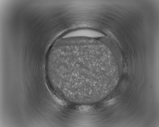 X0000066530444200604141844