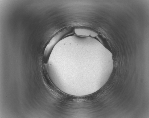 X0000066530448200604141844