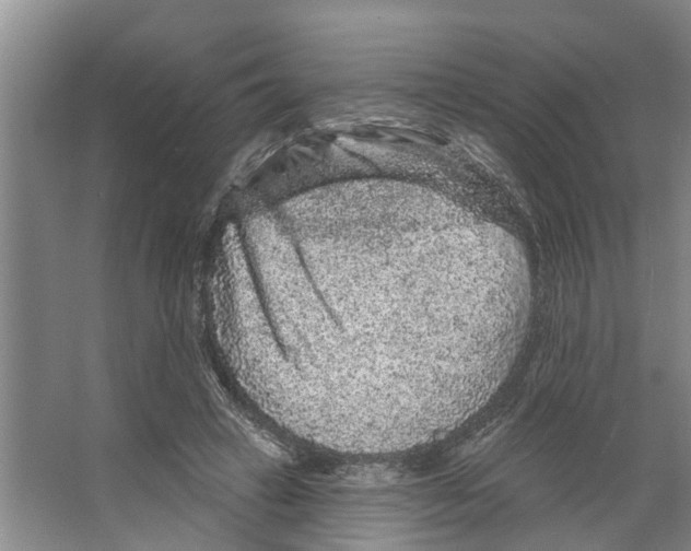 X0000066530449200604141844