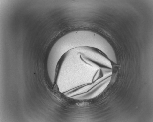 X0000066530452200604141844