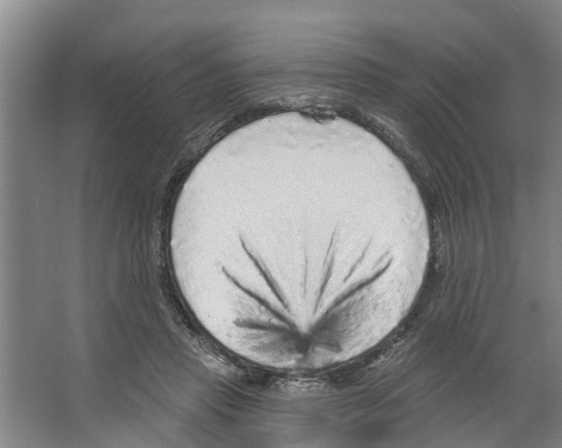 X0000066530453200604141844