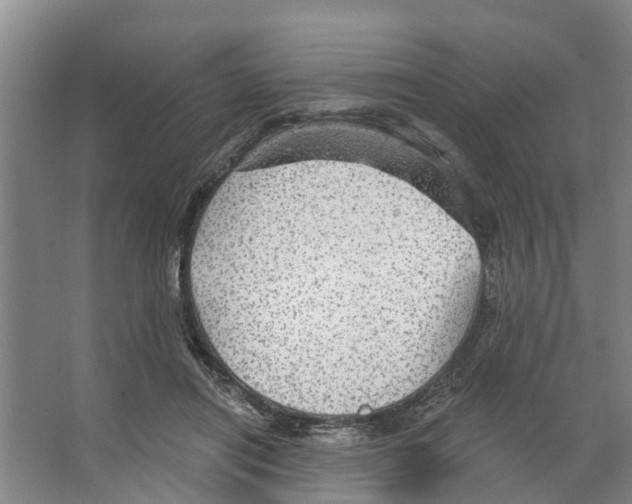 X0000066530454200604141844