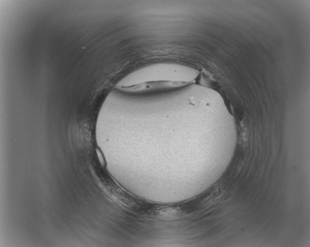 X0000066530456200604141844